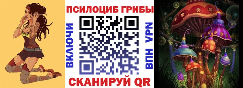 магазин    Кудымкар  Псилоцибиновые грибы Cubensis 